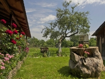 Pensiunea agroturistica La Vasile la Cazan - accommodation in  Maramures Country (27)