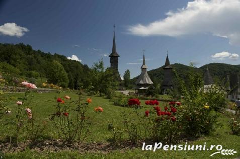 Pensiunea agroturistica La Vasile la Cazan - accommodation in  Maramures Country (Surrounding)