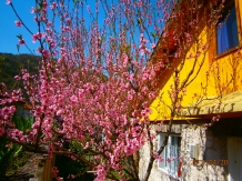 Casa de vacanta Florin - alloggio in  Gola del Danubio, Clisura Dunarii (08)