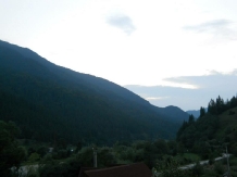 Cabana Plapumioara - alloggio in  Vatra Dornei (11)