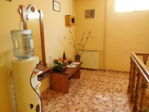 Pensiunea Floare de Colt - accommodation in  Transylvania (05)