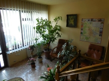 Pensiunea Floare de Colt - accommodation in  Transylvania (17)