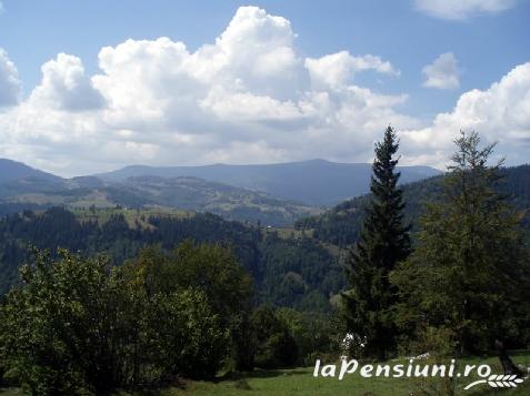 Pensiunea Floare de colt - accommodation in  Apuseni Mountains, Motilor Country, Arieseni (Surrounding)