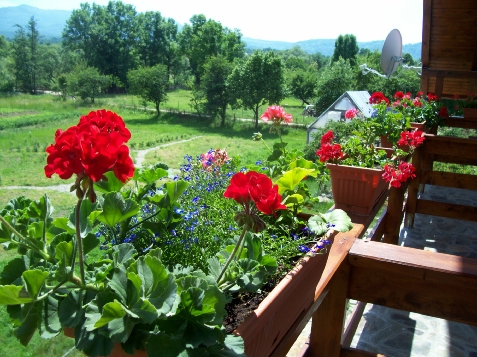 Pensiunea Mara - accommodation in  Maramures Country (Surrounding)