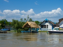 Rural accommodation at  Pensiunea Unchiul Vanea