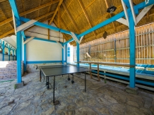 Pensiunea Unchiul Vanea - accommodation in  Danube Delta (08)