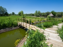 Pensiunea Unchiul Vanea - alloggio in  Delta del Danubio (12)