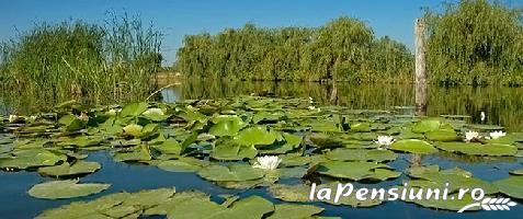 Pensiunea Unchiul Vanea - accommodation in  Danube Delta (Surrounding)