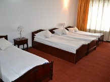 Complex Turistic Casa Seciu - accommodation in  Slanic Prahova (06)