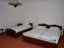 Complex Turistic Casa Seciu - accommodation in  Slanic Prahova (13)