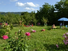 Vila Victoria - cazare Slanic Prahova, Cheia (02)