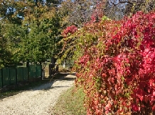 Vila Victoria - cazare Slanic Prahova, Cheia (10)