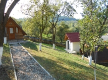 Pensiunea La Domnita - accommodation in  Maramures Country (28)