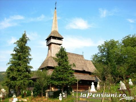Pensiunea La Domnita - cazare Tara Maramuresului (Activitati si imprejurimi) Pensiunea La Domnita - cazare Tara Maramuresului (Activitati si imprejurimi)