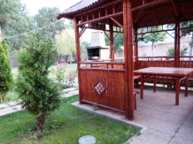 Pensiunea Selena - accommodation in  Muntenia (07)