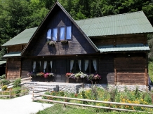Pensiunea Dacica - alloggio in  Tara Hategului (02)
