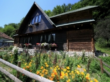 Pensiunea Dacica - alloggio in  Tara Hategului (04)