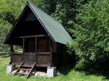 Pensiunea Dacica - alloggio in  Tara Hategului (09)