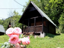 Pensiunea Dacica - alloggio in  Tara Hategului (11)