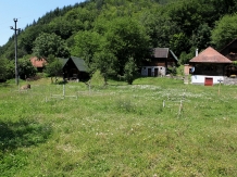 Pensiunea Dacica - alloggio in  Tara Hategului (14)