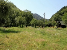 Pensiunea Dacica - alloggio in  Tara Hategului (15)