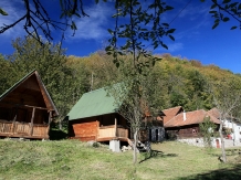 Pensiunea Dacica - alloggio in  Tara Hategului (16)