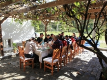 Pensiunea Dacica - alloggio in  Tara Hategului (41)