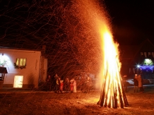Pensiunea Dacica - alloggio in  Tara Hategului (43)