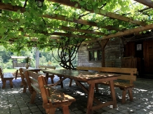 Pensiunea Dacica - alloggio in  Tara Hategului (52)