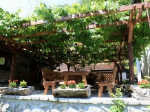 Pensiunea Dacica - alloggio in  Tara Hategului (53)