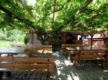 Pensiunea Dacica - alloggio in  Tara Hategului (54)