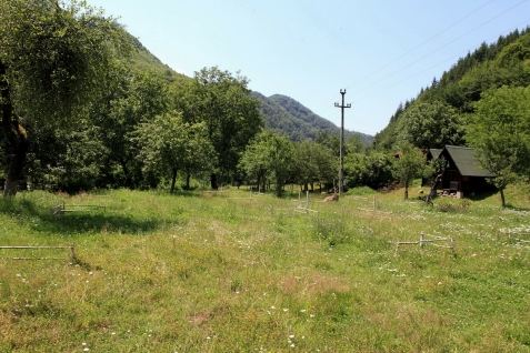 Pensiunea Dacica - cazare Tara Hategului (Activitati si imprejurimi) Pensiunea Dacica - cazare Tara Hategului (Activitati si imprejurimi)