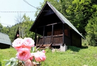 Pensiunea Dacica - Casute