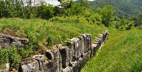 Pensiunea Mariion - accommodation in Transylvania (Surrounding) Pensiunea Mariion - accommodation in Transylvania (Surrounding)