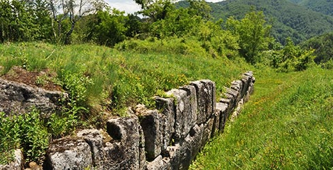 Pensiunea Mariion - cazare Transilvania (Activitati si imprejurimi)