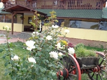 Pensiunea Trei Secui - accommodation in  Harghita Covasna (01)