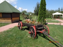Pensiunea Trei Secui - accommodation in  Harghita Covasna (03)