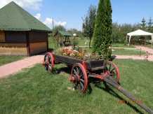 Pensiunea Trei Secui - alloggio in  Harghita Covasna (03)