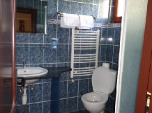Pensiunea Trei Secui - accommodation in  Harghita Covasna (14)