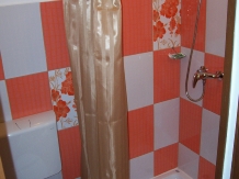 Pensiunea Voiaj - accommodation in  Banat (08)