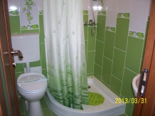 Pensiunea Voiaj - accommodation in  Banat (11)