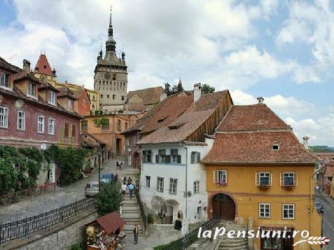 Ceteatea Axente Sever - Pensiune - accommodation in  Sighisoara (Surrounding)