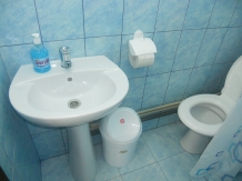 Casa Diadeea - alloggio in  Nord Oltenia (11)
