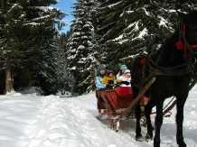 Vila La Craita - cazare Rucar - Bran, Moeciu, Bran (10)