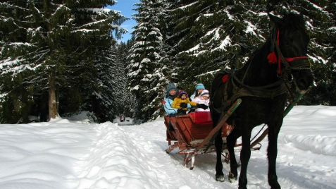 Vila La Craita - cazare Rucar - Bran, Moeciu, Bran (Activitati si imprejurimi)