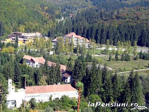 Conacul Benke - cazare Harghita Covasna (Activitati si imprejurimi) Conacul Benke - cazare Harghita Covasna (Activitati si imprejurimi)