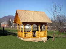 Pensiunea Veselia La Romani - accommodation in  Maramures Country (15)