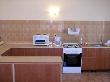 Pensiunea Veselia La Romani - accommodation in  Maramures Country (18)