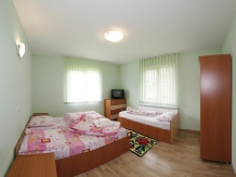 Pensiunea Veselia La Romani - accommodation in  Maramures Country (36)
