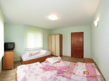 Pensiunea Veselia La Romani - accommodation in  Maramures Country (37)